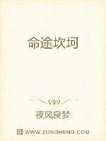 英雄联盟之全能中单txt