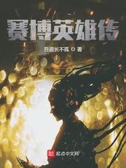 赛博英雄传精校版