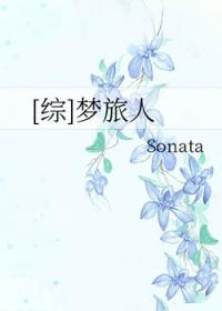 梦旅人