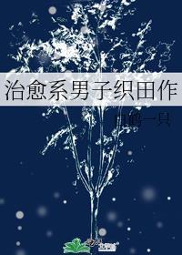 治愈系男子织田作免费阅读
