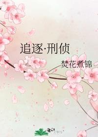 追凶刑侦桔子粟无防盗