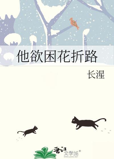 他欲困花折路免费