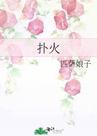 扑火讲的什么