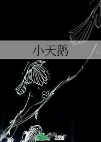 小天鹅和海尔洗衣机哪个好