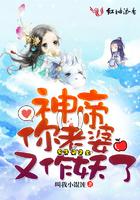 神帝你老婆又作妖了全文免费阅读337