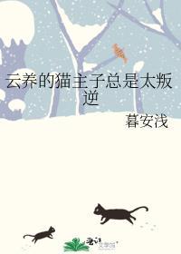 云养猫骗局揭秘