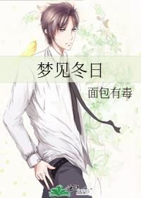 梦见冬日免费阅读番外