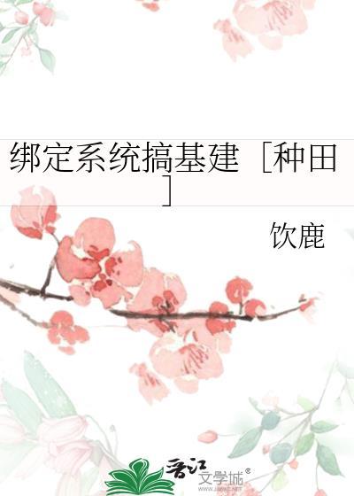 绑定系统有肉