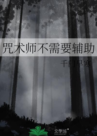 咒术师不需要辅助吗