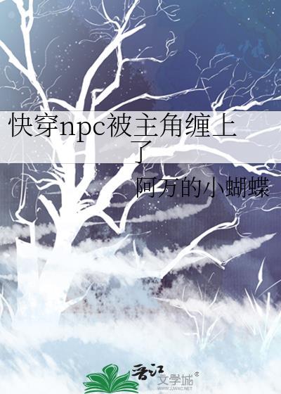 快穿文npc