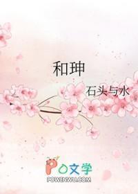 和珅家产