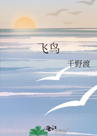 飞鸟歌词