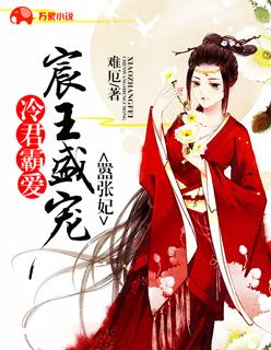 冷王盛宠倾城妃