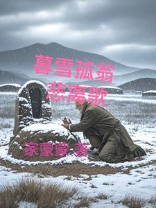 请播放暮雪