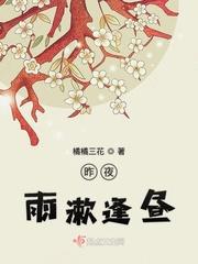 昨夜雨疏风骤歌曲原唱