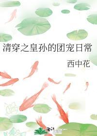 清穿之皇孙的团宠日常西中华
