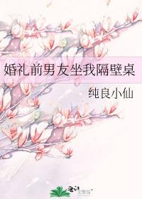 婚礼前男友坐我隔壁桌txt