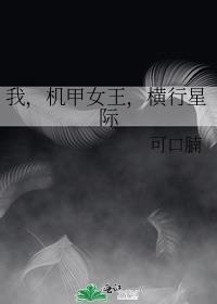 机甲女王技能配置