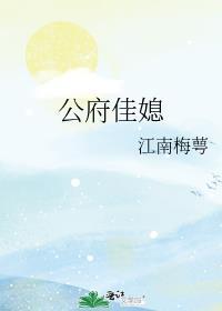 公府佳媳类似