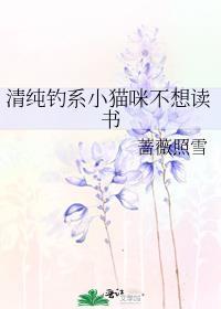 清纯钓系小猫咪不想读书讲的什么