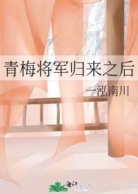 将军归来梅心