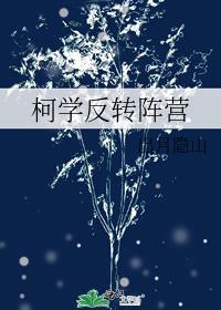 柯学反转阵营海棠文学