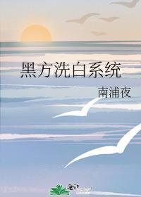 黑方洗白系统全文免费阅读