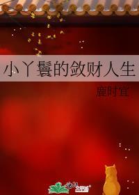 小丫鬟的敛财人生txt资源