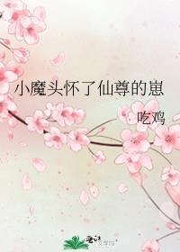 小魔头怀了仙尊的崽笔趣阁