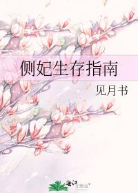 侧妃生存指南 见月书