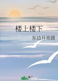 楼上楼下电视剧