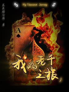 我的老千之路大结局
