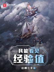 我能看见经验值精校版