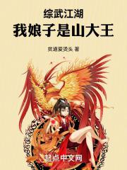我的娘子是武林高手