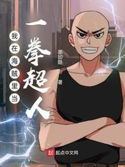 一拳超人在海贼世界免费阅读