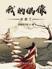 我的偶像0