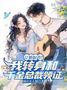 订婚取消我转身和千金总裁领证在线