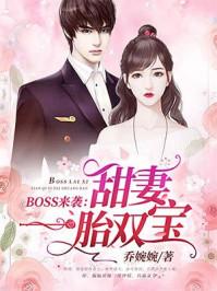 boss来袭甜妻一胎双宝电视剧