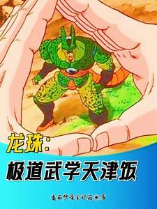 龙珠武道会是多少集