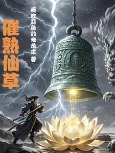 仙草怎么煮?