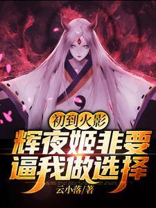 火影忍者辉夜姬是第几集