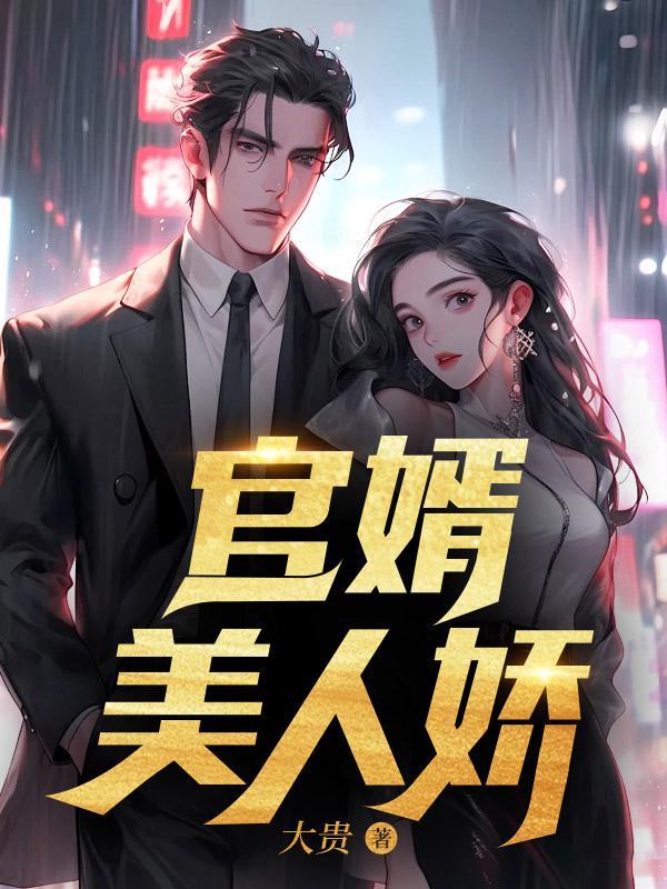 官婿美人娇(庄岩柳琴)