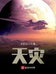 天灾石兑换