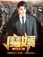 魔婿风云