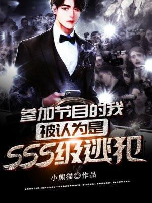 被认为是sss级逃犯