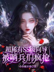 向导跟哨兵