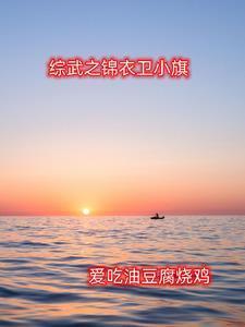 综武之锦衣卫小旗笔趣阁
