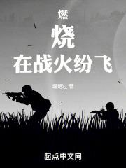 战火纷飞的年代 电视剧