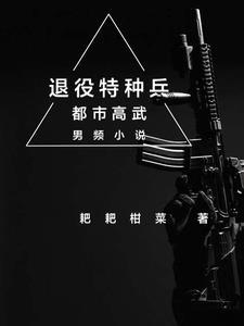 退役特种兵刘青是什么电视剧