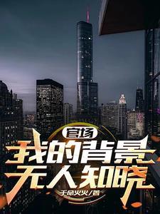 背景显赫的官场